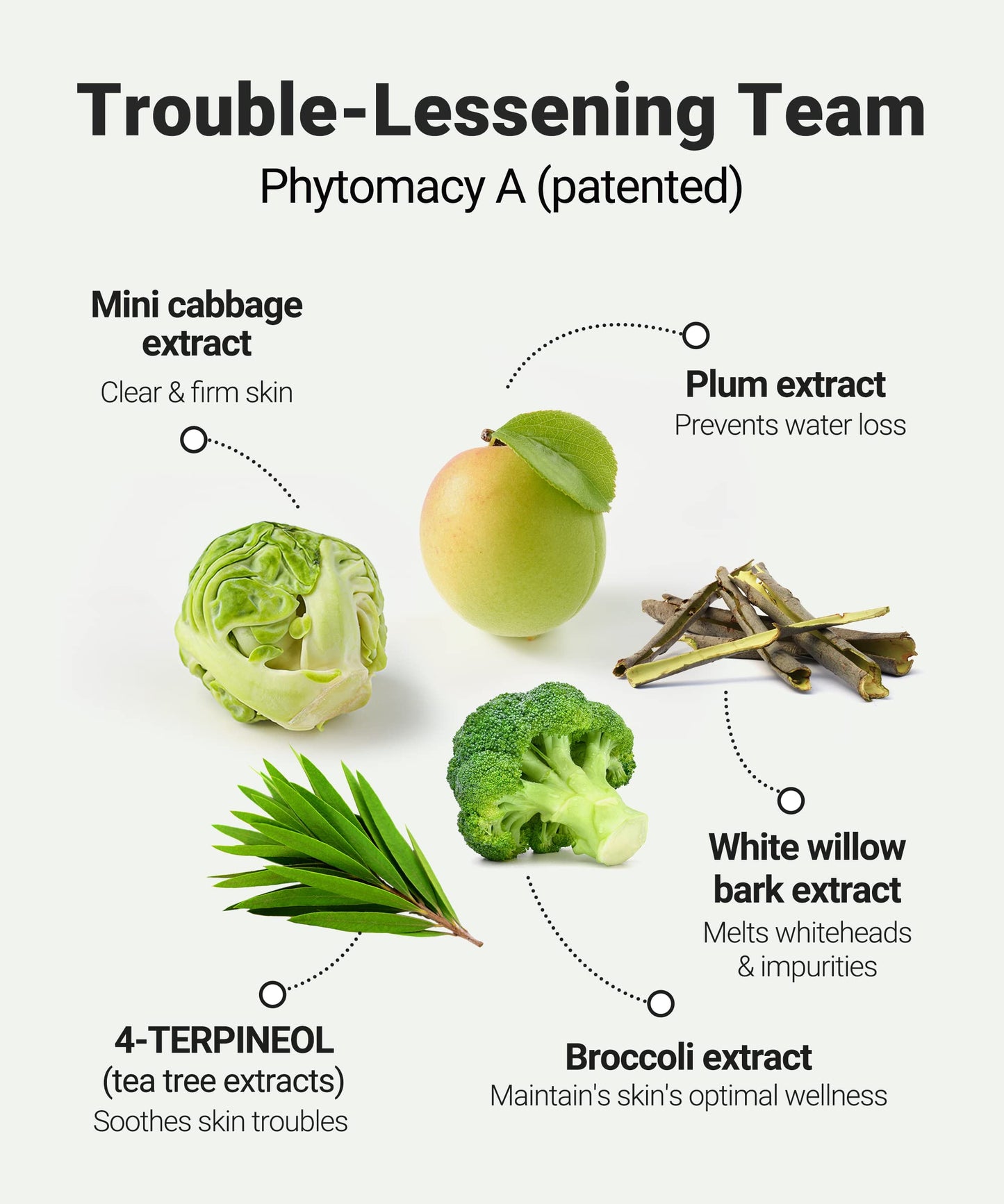 Troubless Clear Whitehead Remover Peel Off Face Mask 5pcs. | Hydrating Face Mask Beauty Sheets Day and Night Moisturizer for Face | White and Blackhead Remover Korean Face Mask Skin Care Peel Off