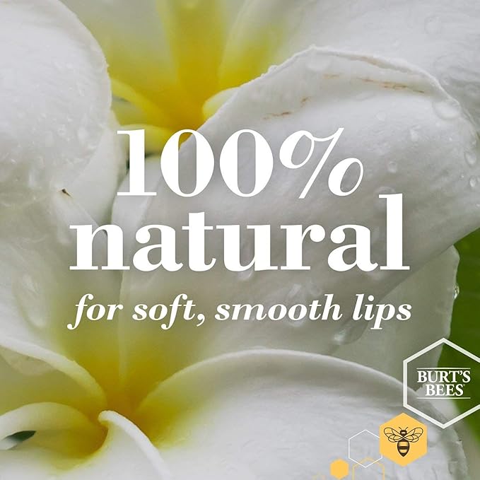Burt's Bees 100% Natural Origin Moisturizing