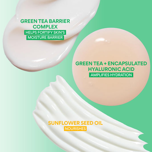 Innisfree Holiday Hydrate and Protect Set: Daily UV Sunscreen Full Size