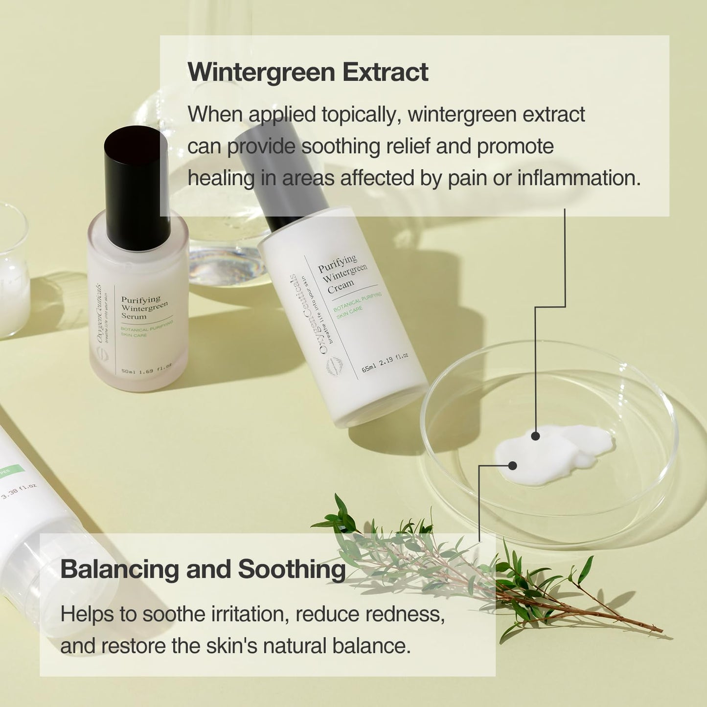 OxygenCeuticals Purifying Kit – Two-Step Acne Treatment Kit, Serum & Moisturizer with Centella & Wintergreen Extract for Acne & Blemish Control