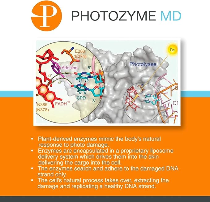 PHOTOZYME DNA Repair Anti Aging Body Lotion Complex with DNA Enzymes + Omega 3 + 6 | Moisturizing, Hydrating, + Nourishing Skin Cream to Repair Sun Damage | Fragrance Free, Unscented | 8 Fl. Oz