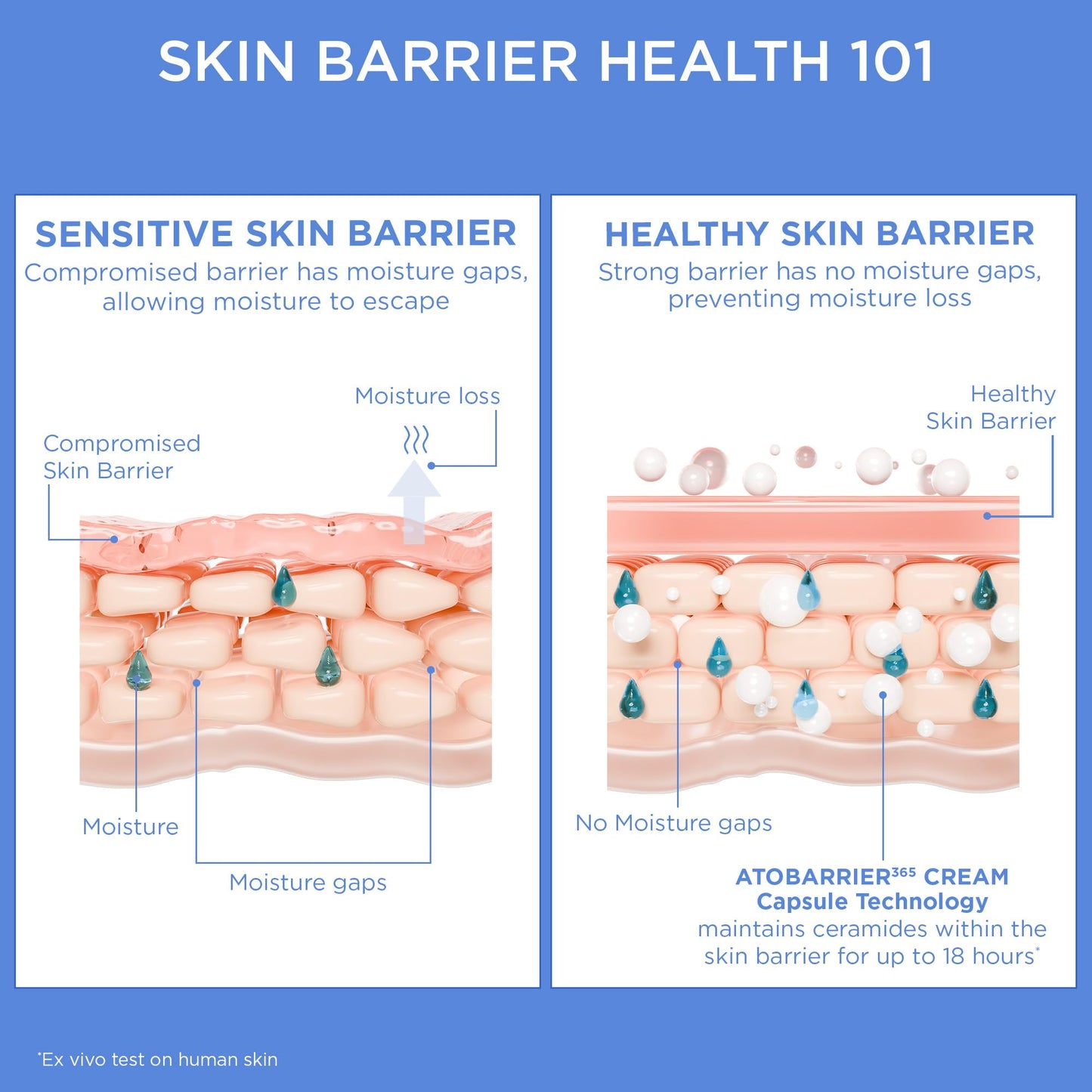 AESTURA ATOBARRIER365 Cream with Ceramides, Korean Face Moisturizer for Barrier Repair | 120H lasting Hydration, Ceramide Capsules, Dry & Sensitive Skin, Non-comedogenic, 80 mL / 2.70 fl.oz.