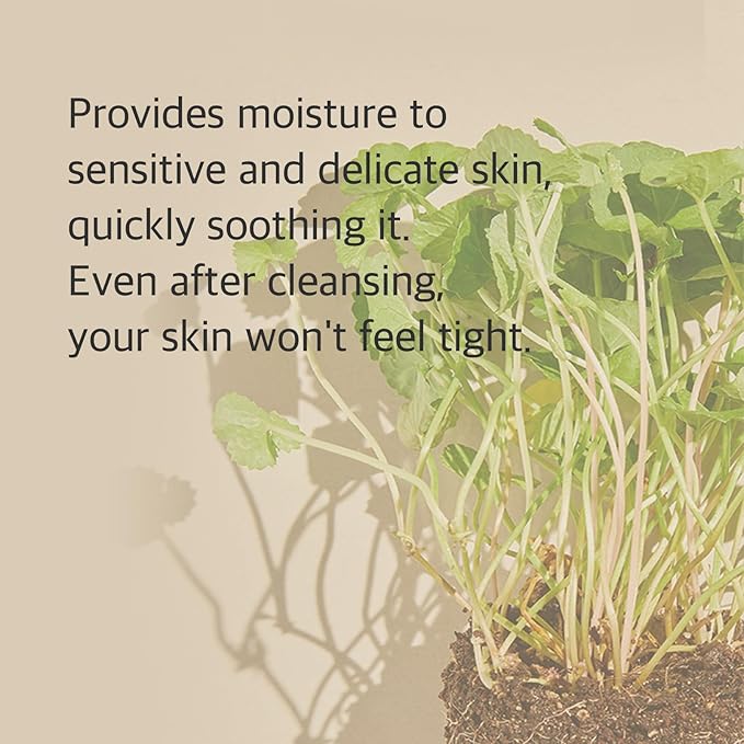 mixsoon Centella Cleansing Foam 5.07 fl oz/ 150ml,Low pH cleansing foam for soothing and moisturization