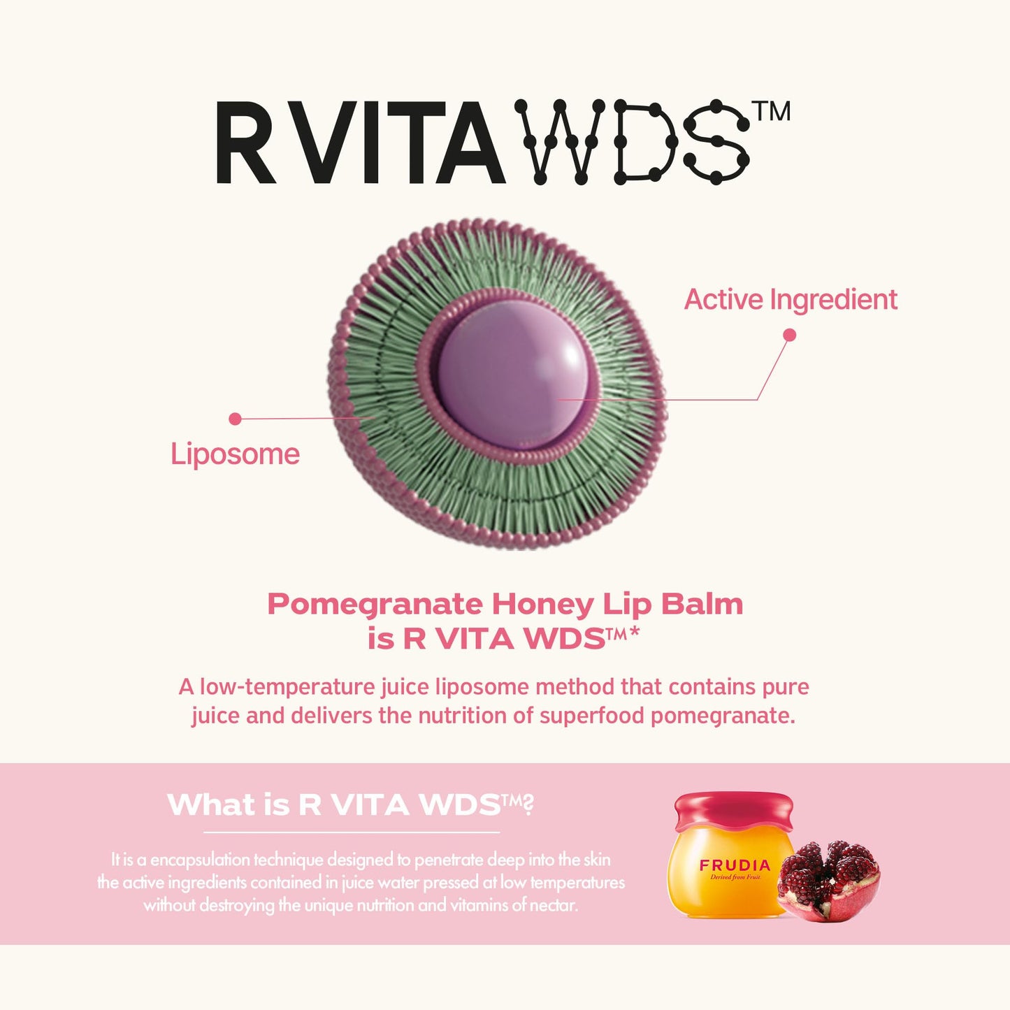 FRUDIA Pomegranate Honey Lip Balm, Lip Plumping, Hydrating, & Translucent Red Tinted 3-in-1 Korean Lip Balm made with Pomegranate Extracts for Dry & Pale Lips