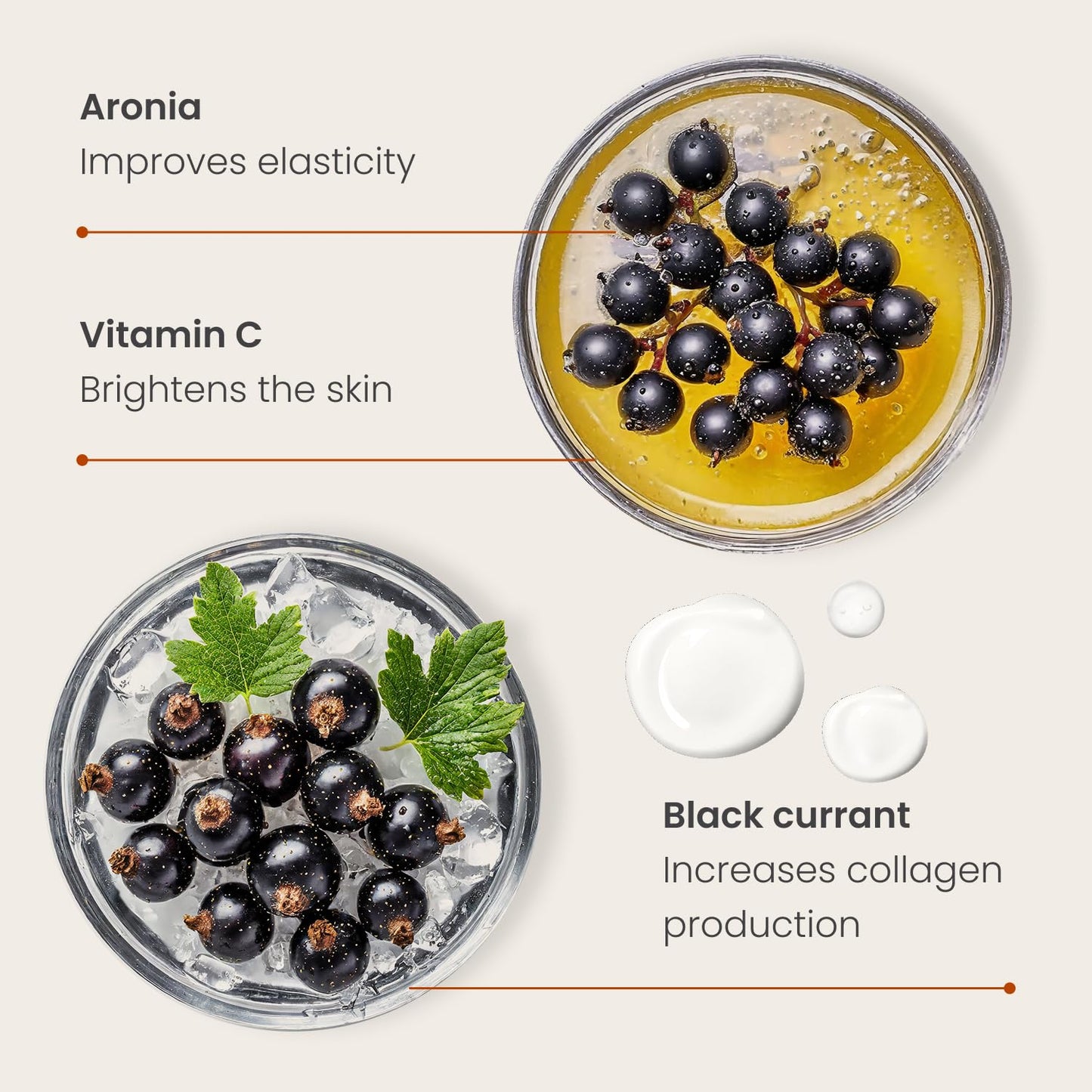 DERMAL Retinol Peptide Lifting Pad - Korean Toner Pad for Anti-Aging & Wrinkles with Bakuchiol - Vegan Pure Cotton Square Pads - Travel Kit 12 Pads, 3 Pack (Total 36 Pads)