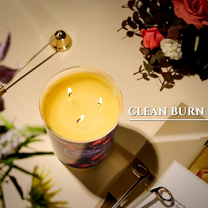 HomeLights Scented Candles for Women & Men, 34oz Candle Jars Aromatherapy 3-Wick Candle, Ideal for Eclectic Mixed Styles Home Decor and Gifts, Champagne Cassis & Honey