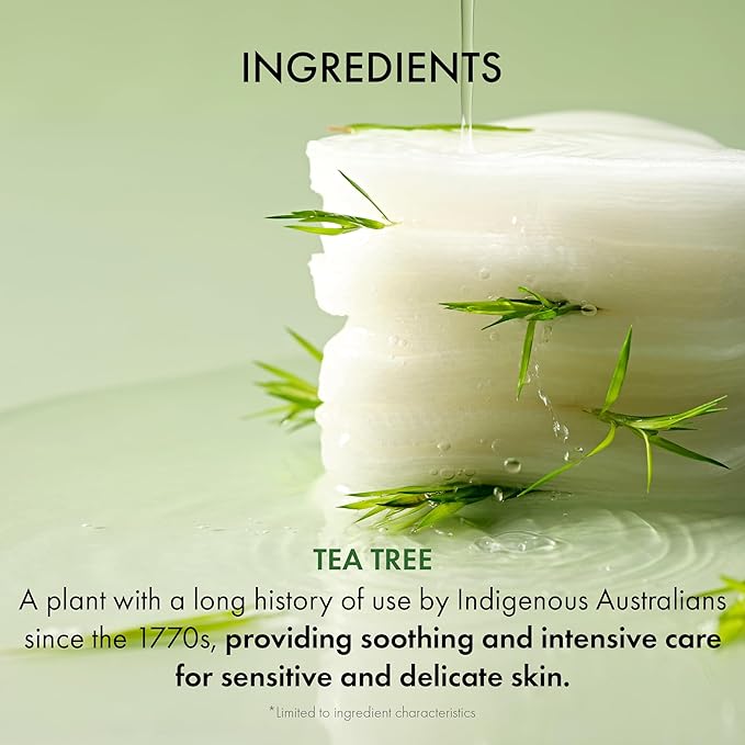 Dr.Ceuracle Tea Tree Purifine Toner Pad - Korean Skincare Mild Exfoliating and Pore Care, Double-Textured Face Pads with PHA, Zinc PCA, Niacinamide (60 Pads)