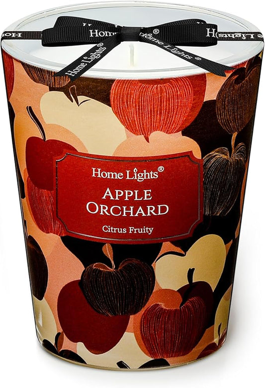 HomeLights Soy Wax Candles for Home Scented, 1-Wick Candles in Apple Orchard Scented, Aromatherapy Candles Gift for Parties, Relaxing, Eclectic Mixed Styles, 6.7oz