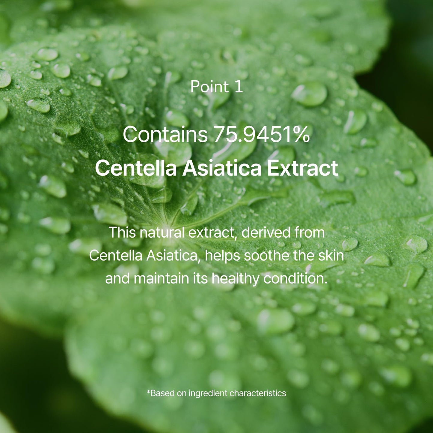 ODELOI Cica 75% Ampoule Luftig 1.69 fl.oz / 50ml, Skin Soothing and Repair, Pore Care and Smooth Texture, Daily Hydration with Centella Asiatica Extract, Korean Skincare, All Skin Types