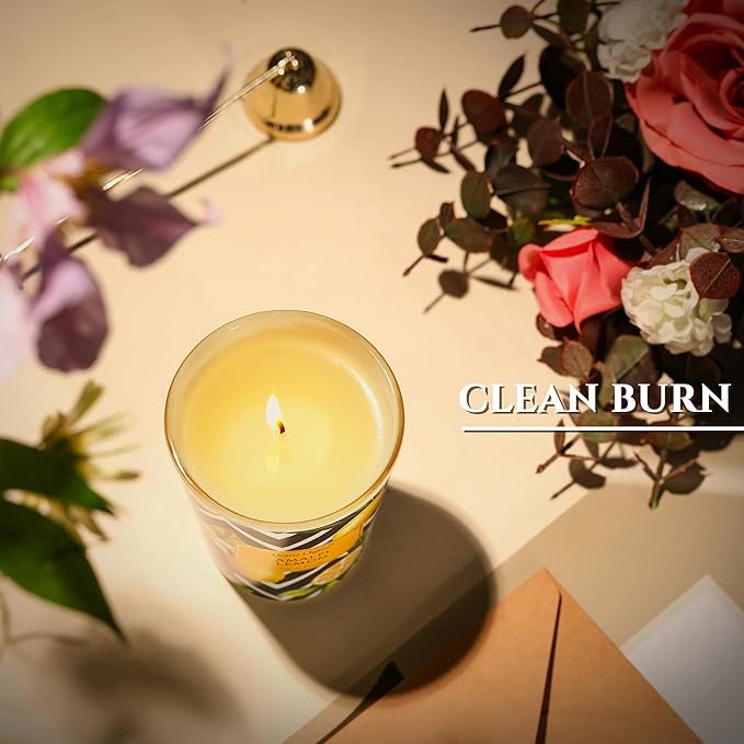 HomeLights Large jar Candle | 1-Wick Long-Lasting Scented Candles, 6.7oz Natural Soy Wax Candle for Home Scented, Eclectic Mixed Styles Gifts for Women & Men, Amalfi Lemon