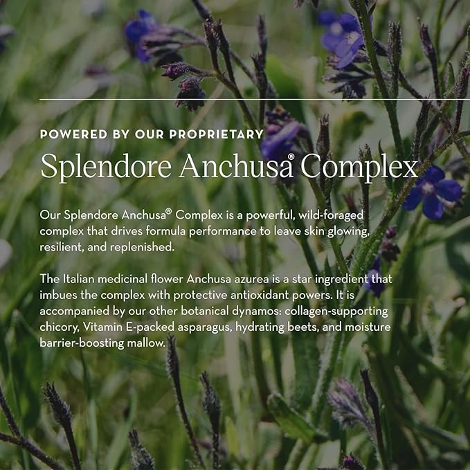 Furtuna Skin Micellar Cleansing Essence Water - Dual-Use Cleanser & Toner, Nutrient-Rich, pH Balanced, Organic Botanicals, Dermatologist Approved - 15ml