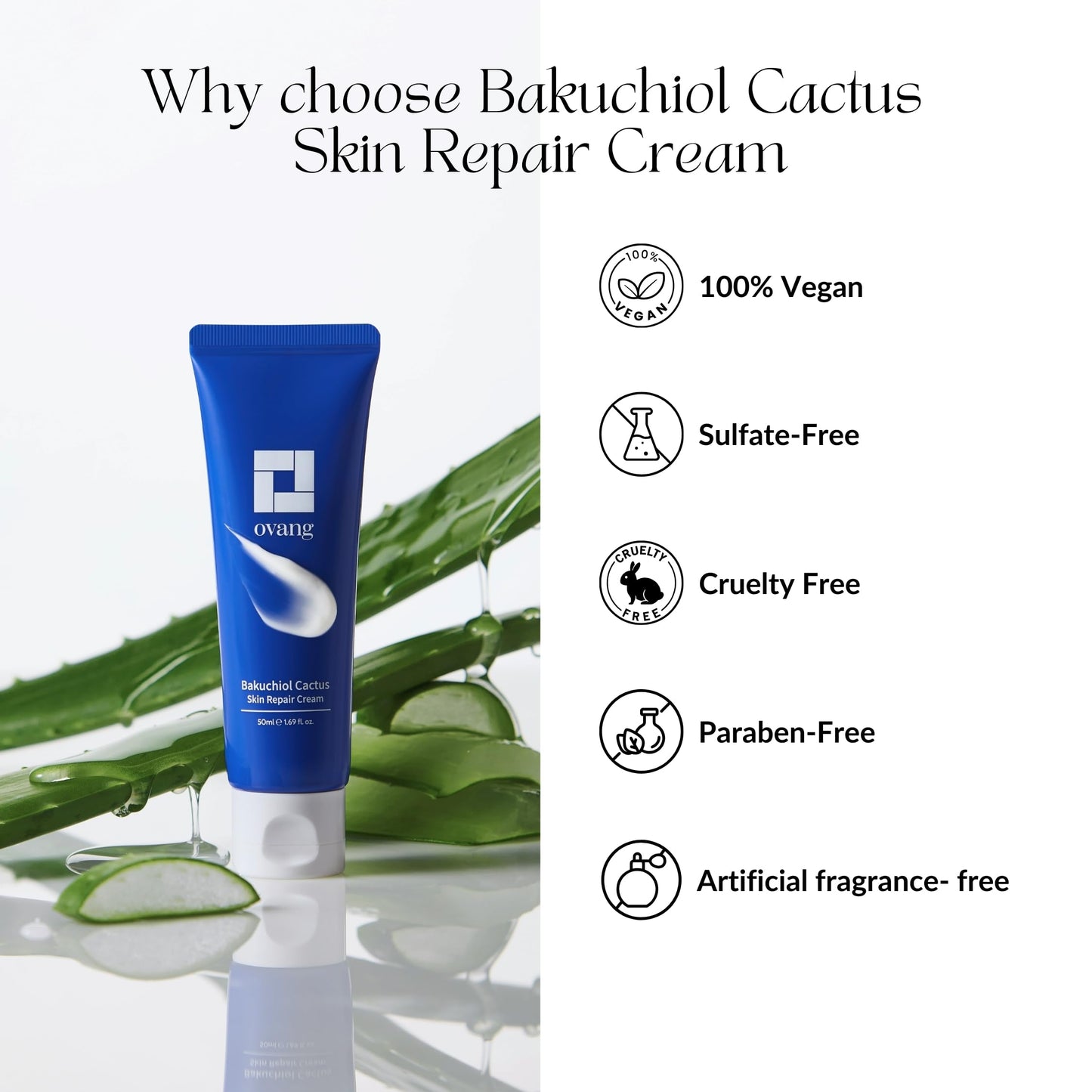 OVANG Bakuchiol Cactus Skin Repair Cream – Hydrating Moisturizer with Bakuchiol & Cactus Extract – Vegan, Cruelty-Free, Nourishing Korean Skincare (50ml / 1.69 fl.oz)