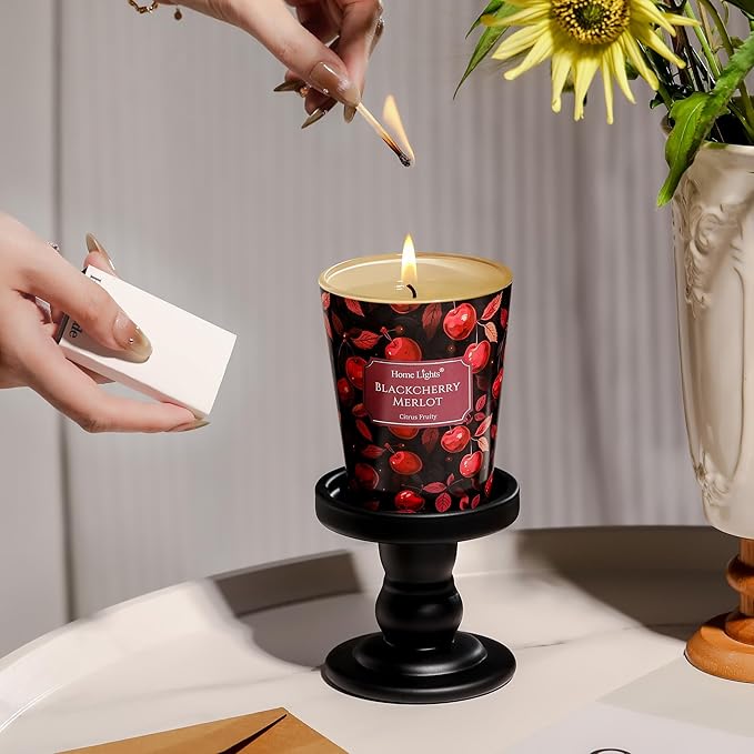 HomeLights Soy Wax Candles for Home Scented, 1-Wick Candles in Blackcherry Merlot Scented, Aromatherapy Candles Gift for Parties, Relaxing, Eclectic Mixed Styles, 6.7oz