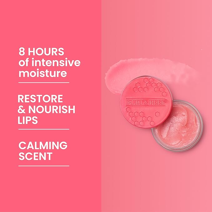 Burt's Bees Overnight Lip Sleeping Mask,