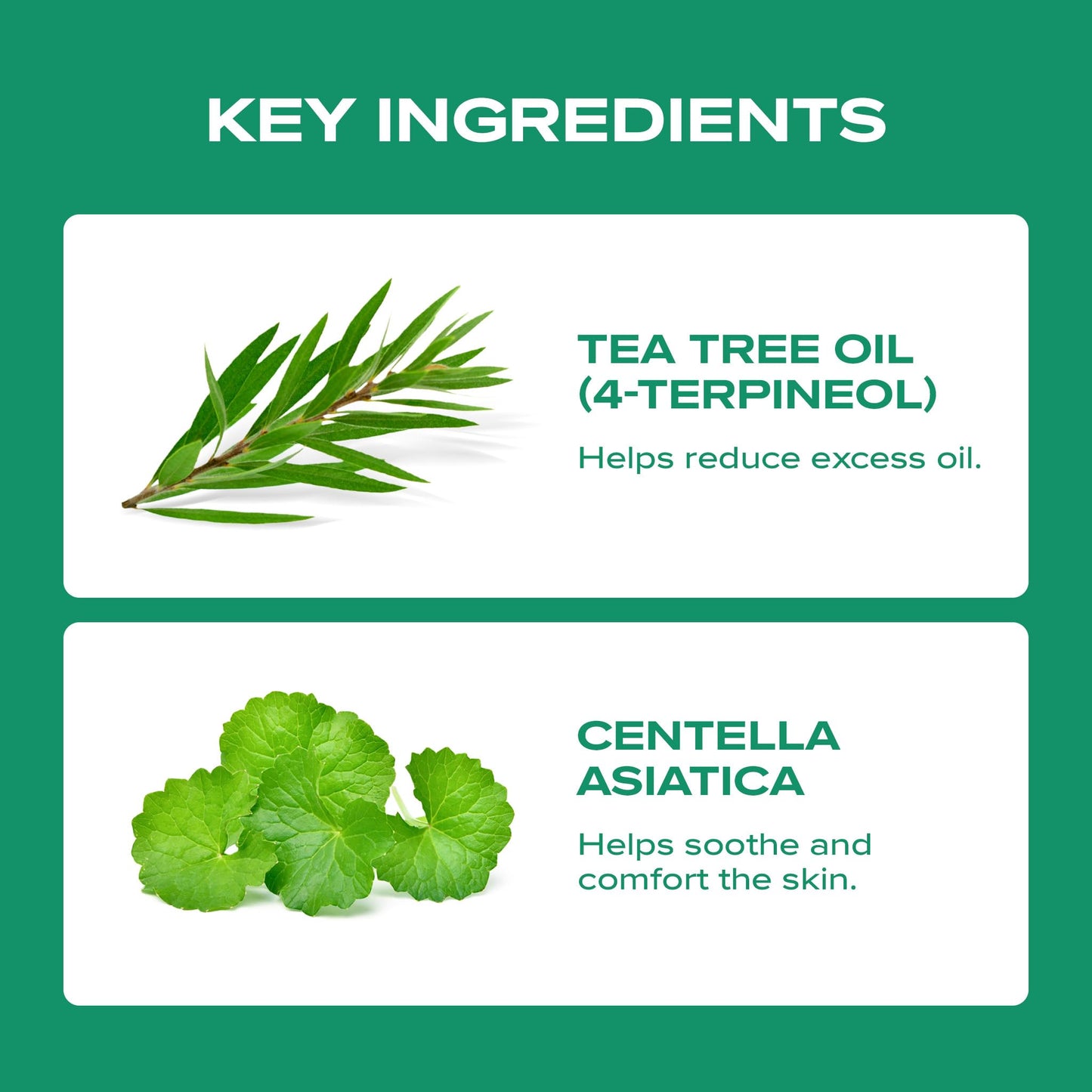 BLANC NATURE – Magic Tea Tree Oil for Face, Clarifying Facial Oil for Oily & Sensitive Skin, Lightweight Daily Care with Tea Tree, Skin-Balancing Vegan Korean Skincare, 0.7 fl oz