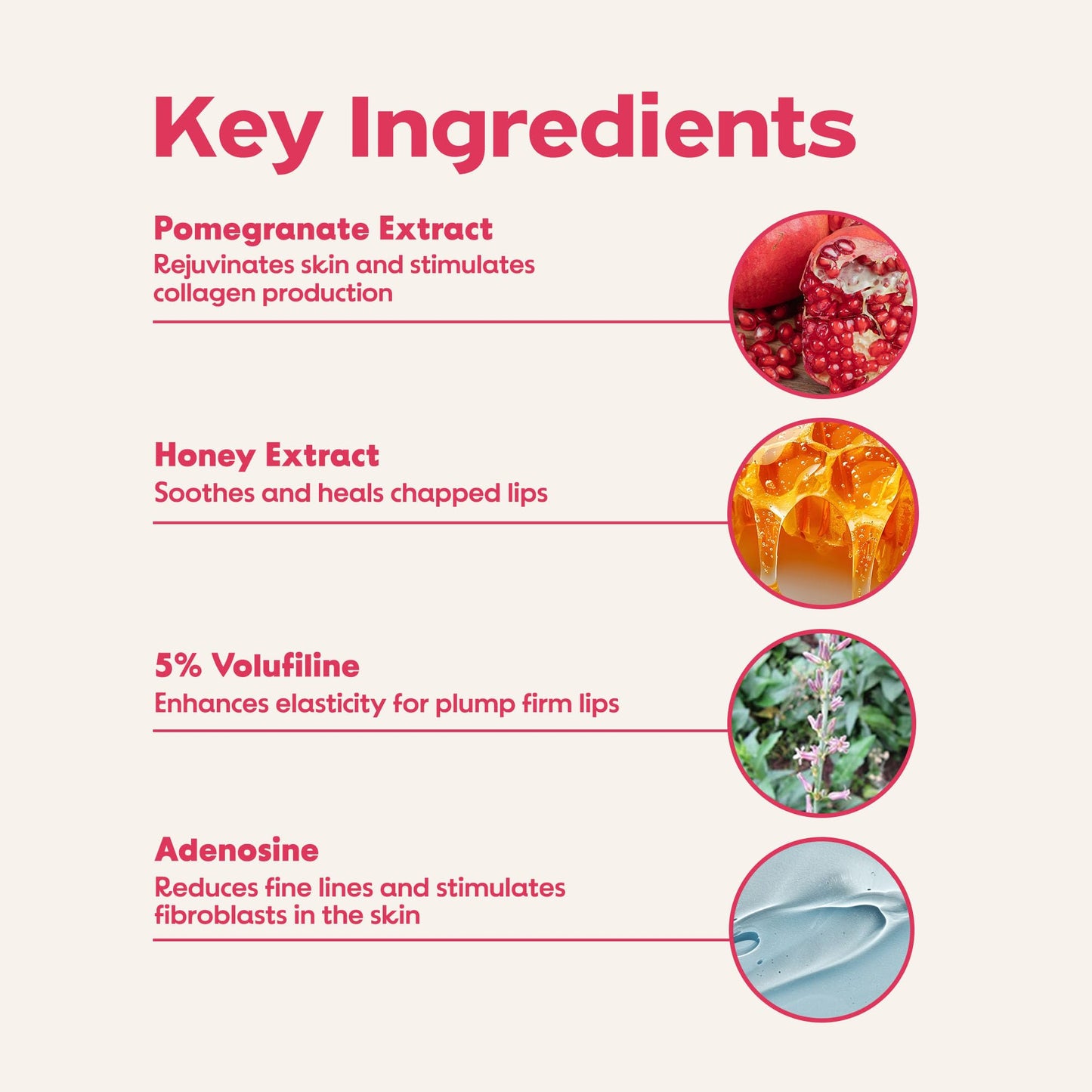 FRUDIA Pomegranate Honey Lip Balm, Lip Plumping, Hydrating, & Translucent Red Tinted 3-in-1 Korean Lip Balm made with Pomegranate Extracts for Dry & Pale Lips