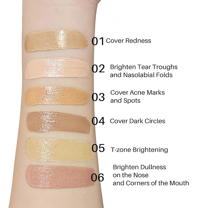 FV 6 Colors Cream Concealer Palette, Full Coverage 01 L
