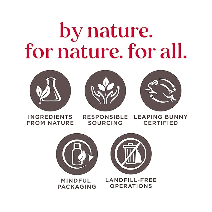 Burt's Bees Hive Favorites Beeswax Holiday