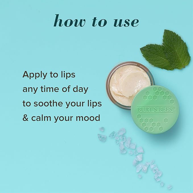 Burt's Bees Lip Mask Set- Overnight