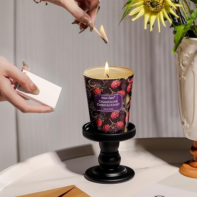 HomeLights Scented Candles for Women & Men, 6.7oz Candle Jars Aromatherapy Single Wick Candle, Ideal for Eclectic Mixed Styles Home Decor and Gifts, Champagne Cassis & Honey