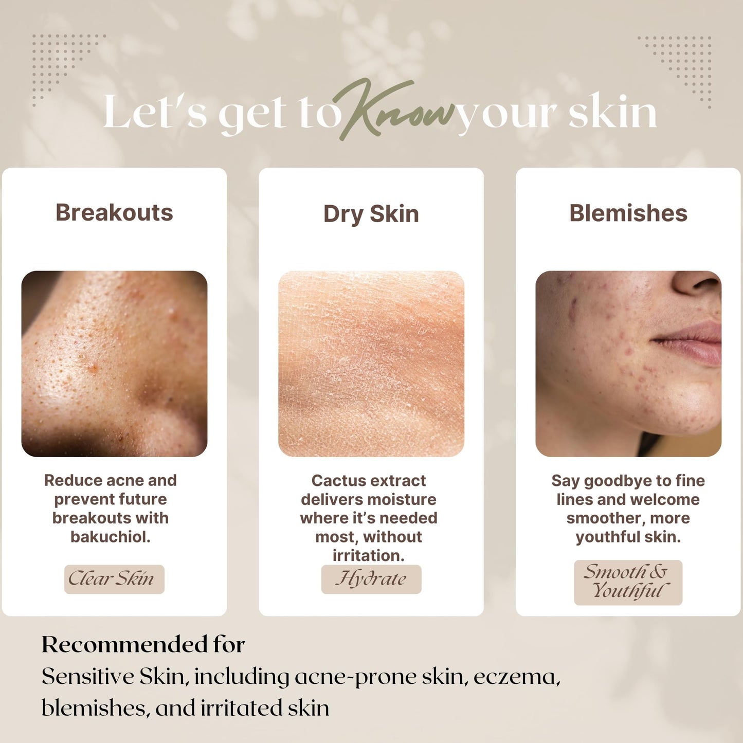 OVANG Bakuchiol Cactus Skin Repair Cream – Hydrating Moisturizer with Bakuchiol & Cactus Extract – Vegan, Cruelty-Free, Nourishing Korean Skincare (50ml / 1.69 fl.oz)