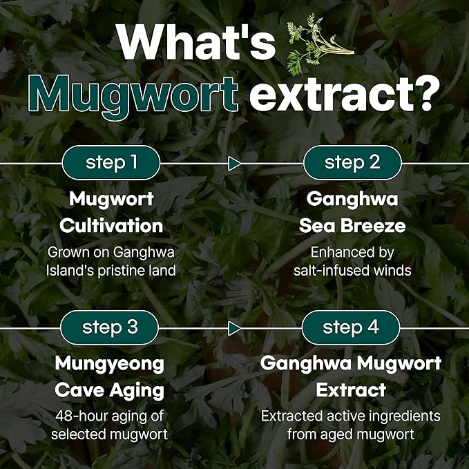 9 Serum for Calming, Hydrating, and Barrier-Strengthening with Mugwort Extract for Sensitive Skin - Redness-Reducing, Glowing, Deep Moisturizing - Korean Skin Care (50ml / 1.69 fl oz)