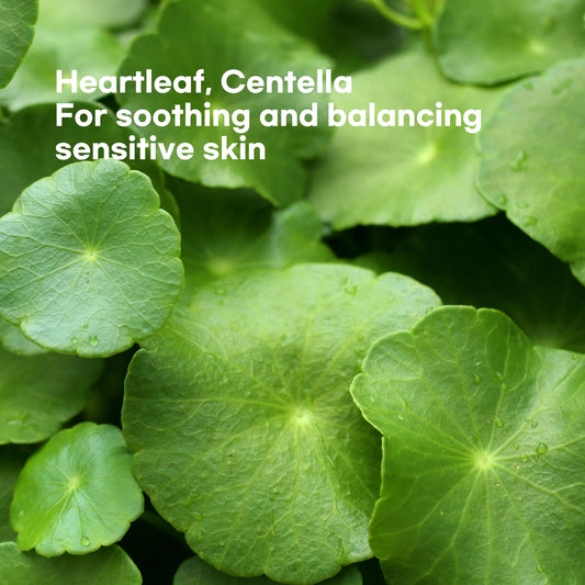 Epielle Heartleaf Calming Serum Sheet Masks (5pk) | Korean Skincare | Facial Sheet Mask | Kbeauty, Spa Gifts for Women