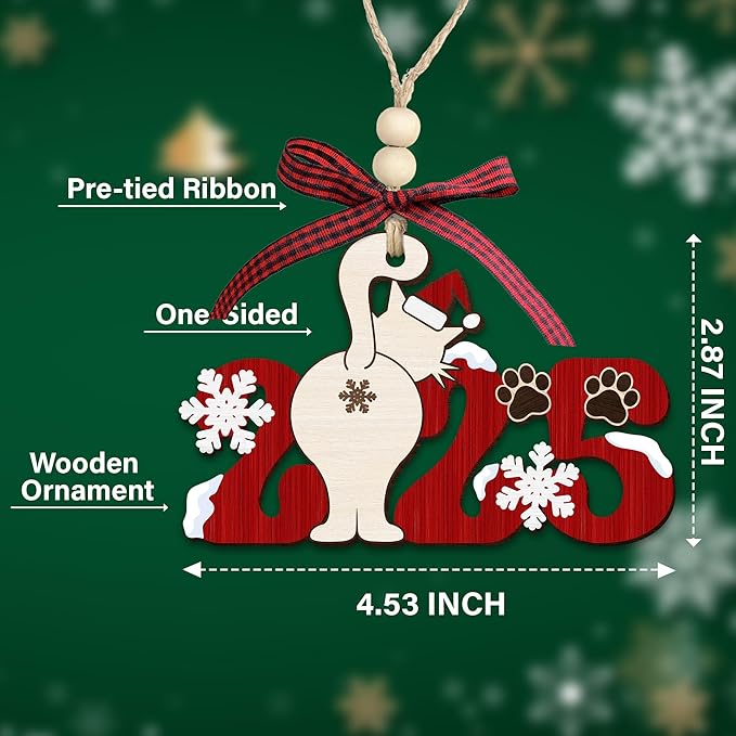 Cat Christmas Ornament 2025 - Funny Wooden Cat Ornament for Christmas Tree - Cute Holiday Decor & Cat Lover Gift - Unique Kitten Wood Keepsake with Gift Box