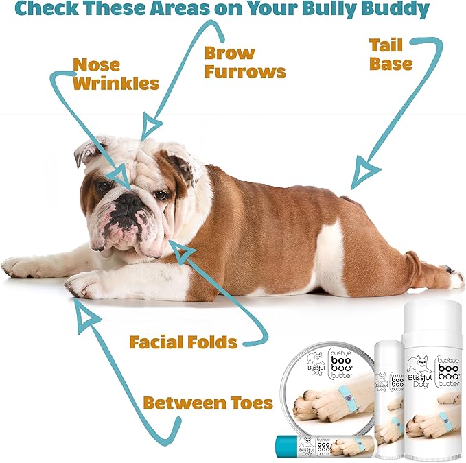 Coton De Tulear Boo Boo Butter, oz