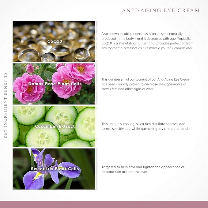 Annmarie Skin Care Anti-Aging Eye Cream - With Antioxidant-Rich Green Tea, Eyebright & Cucumber Extract, Soothing for Puffiness, Fine Lines and Wrinkles, All Skin Types (15ml, 0.5 fl oz)