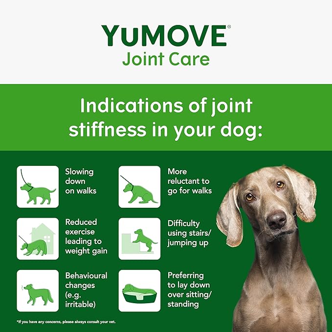 YuMOVE Hip & Joint Supplement for Dogs with Glucosamine, Hyaluronic Acid, Green Lipped Mussel & Omega 3 Joint Supplement - Regular and Advanced Strength (120ct, Chewable Tablets)