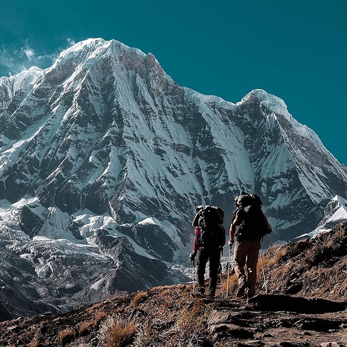 Oars + Alps Hydrating SPF 70