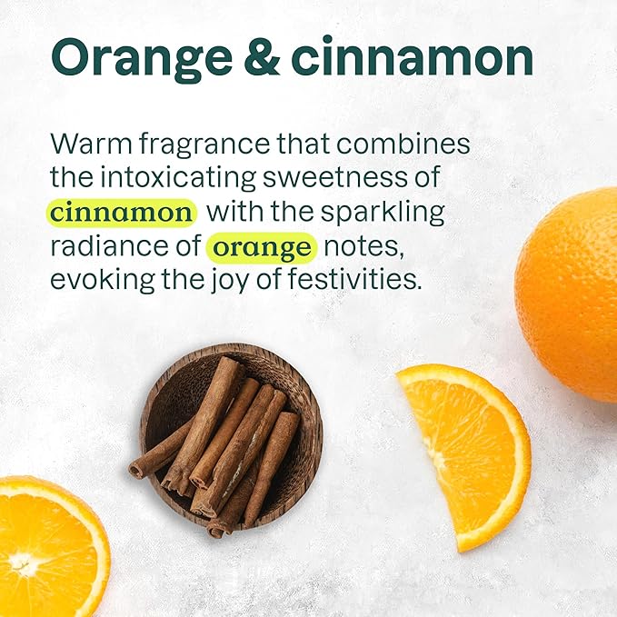 Bundle of ATTITUDE Liquid Hand Soap, EWG Verified, Plant and Mineral-Based, Vegan Personal Care Products, Pine & Sage, 16 Fl Oz + Orange Cinnamon, 16 Fl Oz