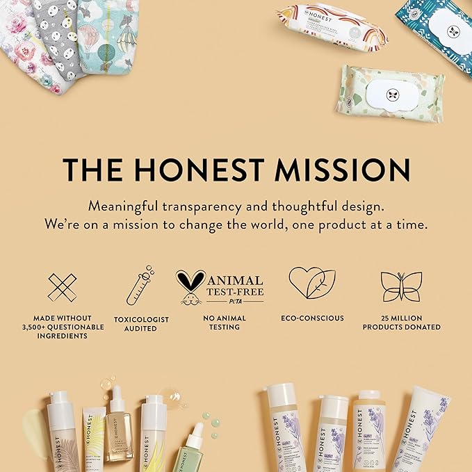 The Honest Company New Mama Care Bag