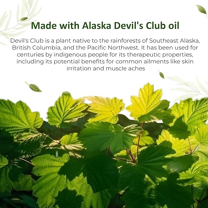 Handmade Alaska Devil's Club Salve - Skin Ointment with Light Scent, Premium Herbal Formula - USA Made, Tradition Inspired Muscle Rub - 2 oz. Jar