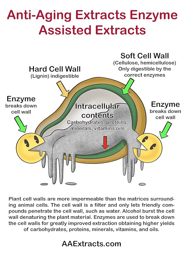 Green Tea Extract for Skin – Alcohol-Free, Cold-Processed Antioxidant Serum with USDA Organic Leaves – Cosmetic Grade for Face, Body and DIY Skincare Formulations - 8 fl oz