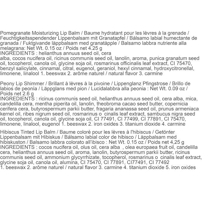 Burt's Bees Mistletoe Kiss Lip Care Pomegranate,