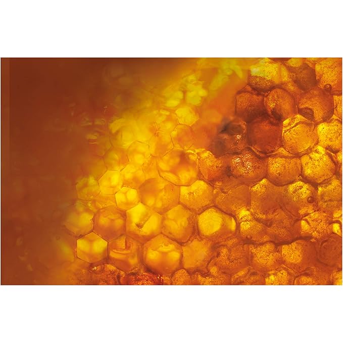 L'Oreal Paris Skincare Age Perfect Hydra-Nutrition oz.