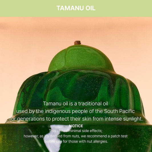 La'dor Tamanu Zinc Oxide Mild Mineral No Whitecast Sunscreen UV Clear Lightweight Daily Moisturizer Lotion with SPF 50+ PA++++ for Sensitive Skin Non Greasy Non Oily Long Lasting Korean Skincare