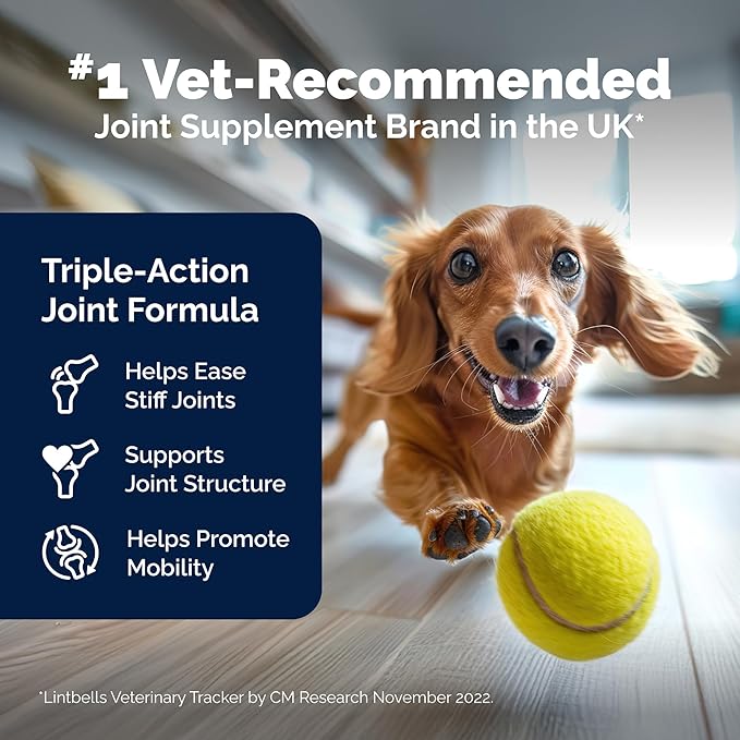 YuMOVE Hip & Joint Supplement for Dogs with Glucosamine, Hyaluronic Acid, Green Lipped Mussel & Omega 3 Joint Supplement - Regular or Advanced Strength (90ct, Advanced Vet Strength Soft Chews)
