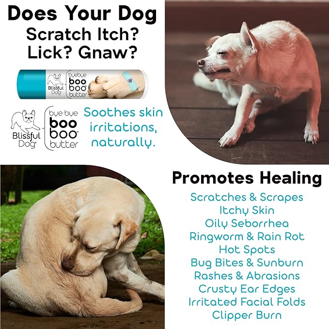 English Toy Spaniel Boo Boo Butter, oz