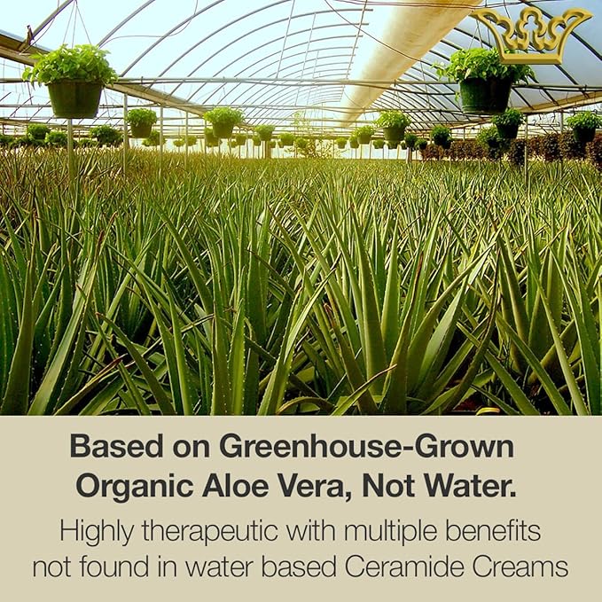 GUNILLA Ceramide Cream A17-24-Hour Moisturizer - Plump, Soften. 17 Actives & Herbals. Plant-Based. No Added Fragrance. Vegan. (2 oz)