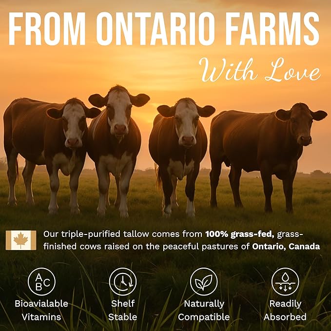 Grass-Fed Beef Tallow and Manuka Honey Balm, Eczema Face & Body Cream, Moisturizer for Dry Skin with Shea Butter, Almond & Jojoba Oil, Beeswax, Arrowroot, Vitamin E - Lemongrass - Made in Canada, 2 oz