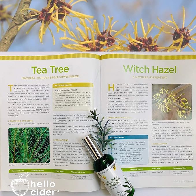 Tea Tree Witch Hazel FACE Toner - Organic Hydrosol, Astringent Facial Spray - Reduce Blemish, Prevent Acnes, Restore pH, Tone. All Skin Type.USA Small Business-Hello Cider