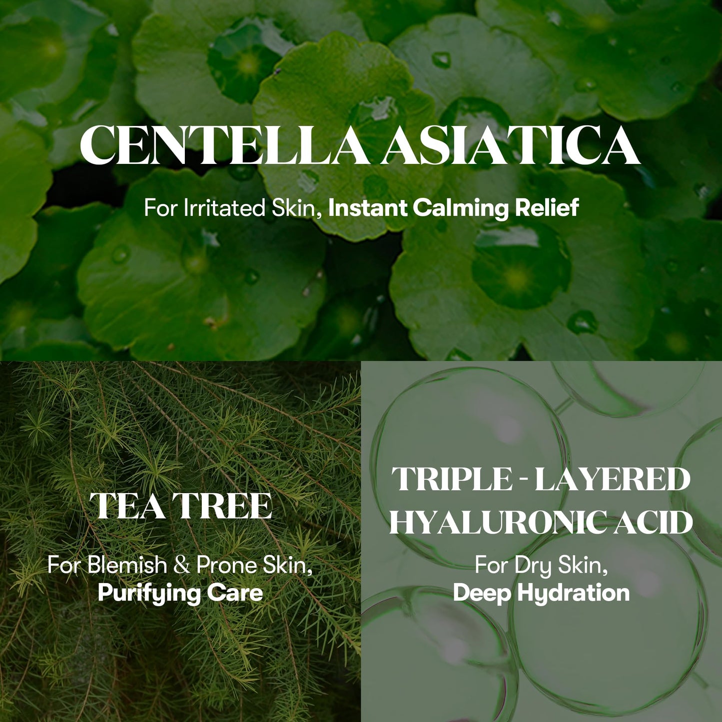 VT COSMETICS Cica Cream Plus, Hydrating & Calming Face Moisturizer with Centella Asiatica, Lightweight Soothing Cream for Acne, Oily, Dry and Sensitive Skin, Korean Skincare for acne prone skin