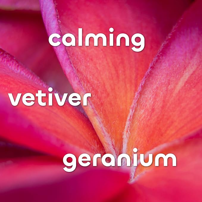 Seaweed Bath Co. Calm Body Cream, Vetiver Geranium Scent, 6 Ounce, Sustainably Harvested Seaweed, Oat Milk, Chamomile