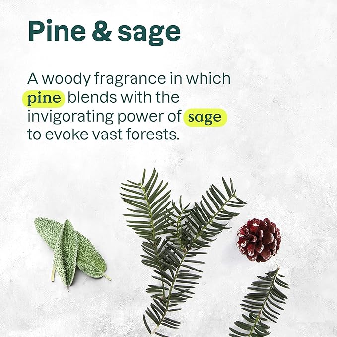 Bundle of ATTITUDE Liquid Hand Soap, EWG Verified, Plant and Mineral-Based, Vegan Personal Care Products, Vanilla Caramel, 16 Fl Oz + Pine & Sage, 16 Fl Oz