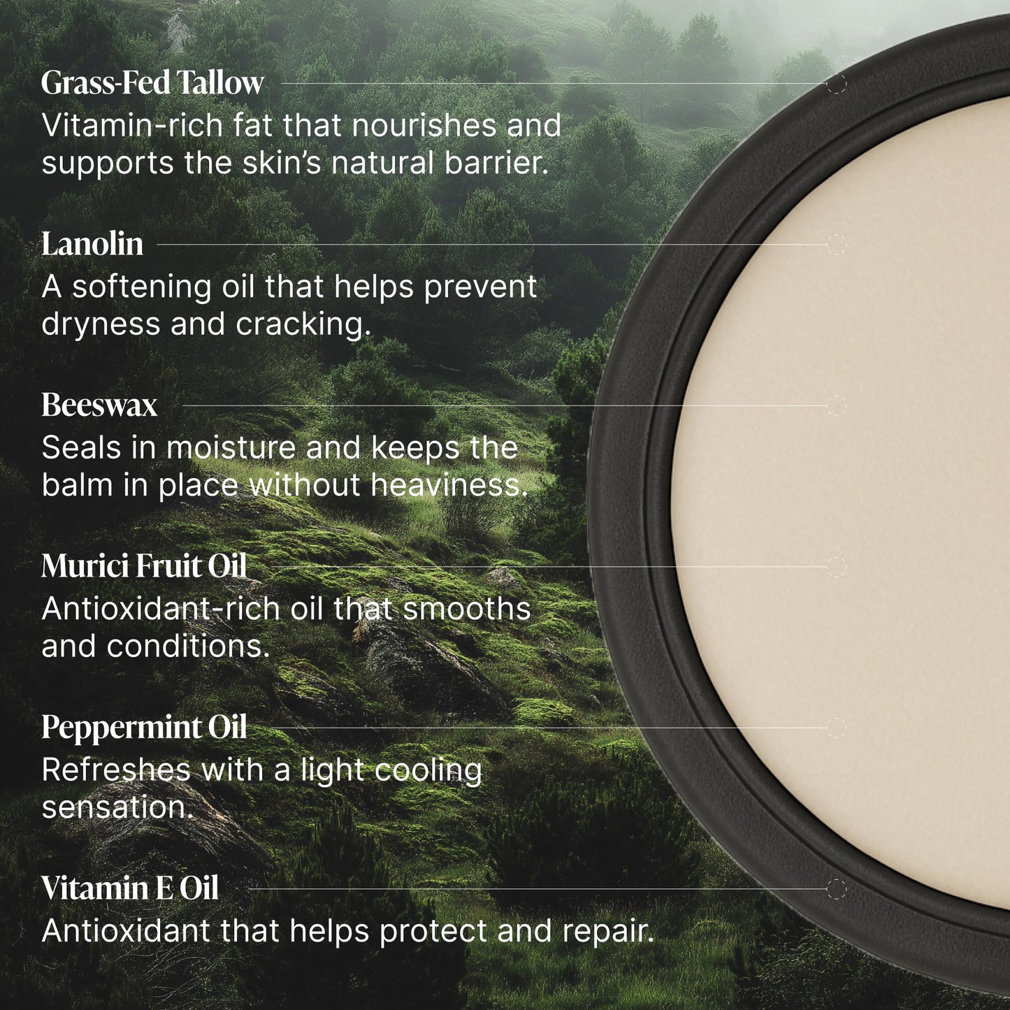 TALOVA - Peppermint Grass-Fed Tallow Lip Balm, Lip Sleeping Mask, Overnight Moisturizer, Natural & Clean Moisturizing Lip Balm w/Vitamins A, D, E, & K, Nourishes & Smooths Texture, Dry & Chapped Lips